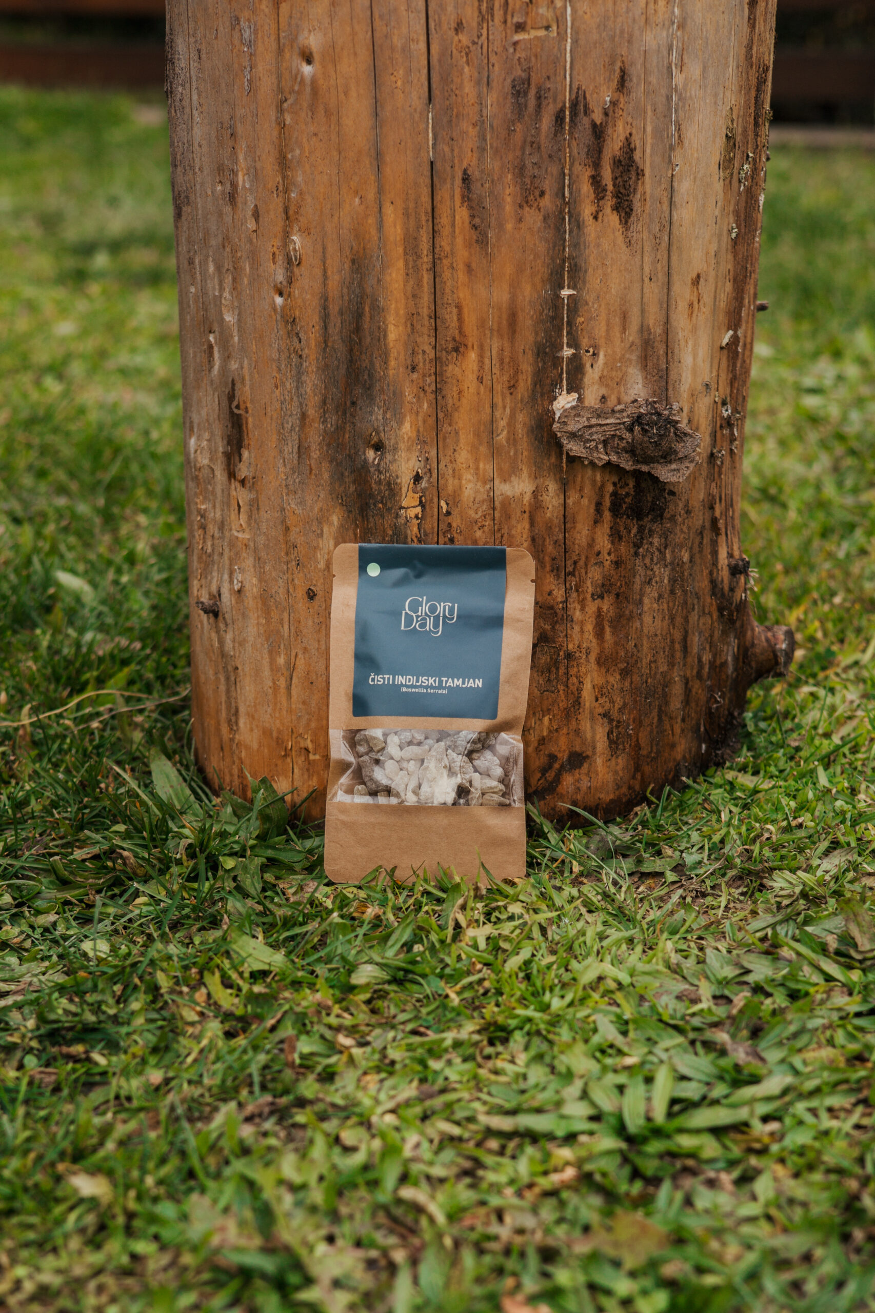 Smeđa papirna vrećica s natpisom 'Glory Day' i 'Čisti Indijski Tamjan' postavljena ispred drvenog debla na travnatoj površini.